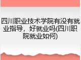 四川职业技术学院有没有就业指导，好就业吗(四川职院就业如何)