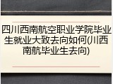 四川西南航空职业学院毕业生就业大致去向如何(川西南航毕业生去向)