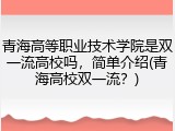 青海高等职业技术学院是双一流高校吗，简单介绍(青海高校双一流？)