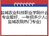 盐城农业科技职业学院什么专业最好，一年招多少人(盐城农院热门专业)