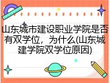 山东城市建设职业学院是否有双学位，为什么(山东城建学院双学位原因)