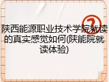 陕西能源职业技术学院就读的真实感觉如何(陕能院就读体验)