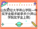 山东财经大学燕山学院一年奖学金最多能拿多少(燕山学院奖学金上限)