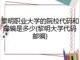 黎明职业大学的院校代码和邮编是多少(黎明大学代码邮编)