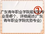 广东青年职业学院最好的专业是哪个，详细阐述(广东青年职业学院优势专业)