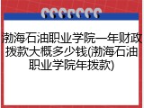 渤海石油职业学院一年财政拨款大概多少钱(渤海石油职业学院年拨款)