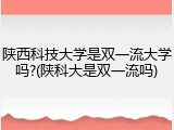 陕西科技大学是双一流大学吗?(陕科大是双一流吗)