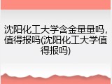 沈阳化工大学含金量量吗，值得报吗(沈阳化工大学值得报吗)