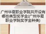 广州华夏职业学院共开设有哪些类型奖学金(广州华夏职业学院奖学金种类)