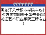 黑龙江艺术职业学院主攻什么方向有哪些王牌专业(黑龙江艺术职业学院王牌专业)