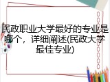 民政职业大学最好的专业是哪个，详细阐述(民政大学最佳专业)