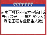 湖南工程职业技术学院什么专业最好，一年招多少人(湖南工程专业招生人数)