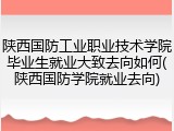 陕西国防工业职业技术学院毕业生就业大致去向如何(陕西国防学院就业去向)