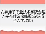 安徽扬子职业技术学院办理入学有什么攻略没(安徽扬子入学攻略)
