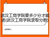 武汉工商学院要多少分才能进(武汉工商学院录取分数)