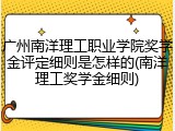 广州南洋理工职业学院奖学金评定细则是怎样的(南洋理工奖学金细则)