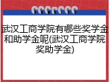 武汉工商学院有哪些奖学金和助学金呢(武汉工商学院奖助学金)