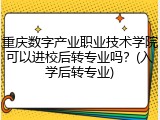 重庆数字产业职业技术学院可以进校后转专业吗？(入学后转专业)