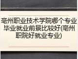 亳州职业技术学院哪个专业毕业就业前景比较好(亳州职院好就业专业)