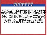安徽城市管理职业学院好不好，就业现状及发展趋势(安徽城管职院就业前景)