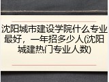 沈阳城市建设学院什么专业最好，一年招多少人(沈阳城建热门专业人数)