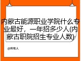 内蒙古能源职业学院什么专业最好，一年招多少人(内蒙古职院招生专业人数)