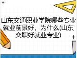 山东交通职业学院哪些专业就业前景好，为什么(山东交职好就业专业)