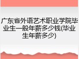 广东省外语艺术职业学院毕业生一般年薪多少钱(毕业生年薪多少)