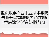 重庆数字产业职业技术学院专业开设有哪些,特色在哪(重庆数字学院专业特色)