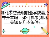 湖北孝感美珈职业学院要招专升本吗，如何参考(湖北美珈专升本条件)