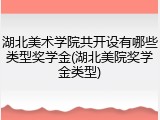 湖北美术学院共开设有哪些类型奖学金(湖北美院奖学金类型)