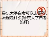 鲁东大学自考可以去读吗，流程是什么(鲁东大学自考流程)