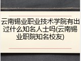 云南锡业职业技术学院有出过什么知名人士吗(云南锡业职院知名校友)