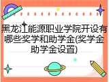 黑龙江能源职业学院开设有哪些奖学和助学金(奖学金助学金设置)