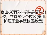 泰山护理职业学院是否有分校，共有多少个校区(泰山护理职业学院校区数量)