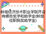 蚌埠经济技术职业学院开设有哪些奖学和助学金(蚌埠经职院奖助学金)