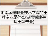 湖南城建职业技术学院的王牌专业是什么(湖南城建学院王牌专业)