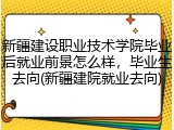 新疆建设职业技术学院毕业后就业前景怎么样，毕业生去向(新疆建院就业去向)