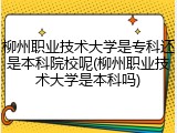 柳州职业技术大学是专科还是本科院校呢(柳州职业技术大学是本科吗)