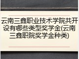 云南三鑫职业技术学院共开设有哪些类型奖学金(云南三鑫职院奖学金种类)