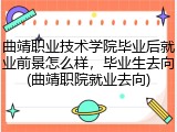 曲靖职业技术学院毕业后就业前景怎么样，毕业生去向(曲靖职院就业去向)