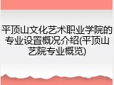 平顶山文化艺术职业学院的专业设置概况介绍(平顶山艺院专业概览)