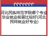 河北民族师范学院哪个专业毕业就业前景比较好(河北民师就业好专业)