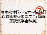 海南软件职业技术学院共开设有哪些类型奖学金(海南职院奖学金种类)