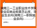 湖南三一工业职业技术学院毕业后就业前景怎么样，毕业生去向(湖南三一职院就业去向)