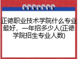 正德职业技术学院什么专业最好，一年招多少人(正德学院招生专业人数)