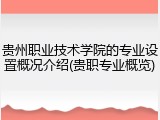 贵州职业技术学院的专业设置概况介绍(贵职专业概览)