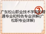广东松山职业技术学院的普通专业和特色专业详解(广松职专业详解)