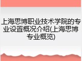 上海思博职业技术学院的专业设置概况介绍(上海思博专业概览)