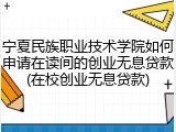 宁夏民族职业技术学院如何申请在读间的创业无息贷款(在校创业无息贷款)